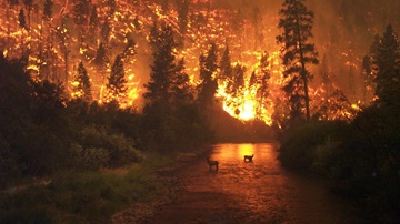 Canadian wildfire in 2023